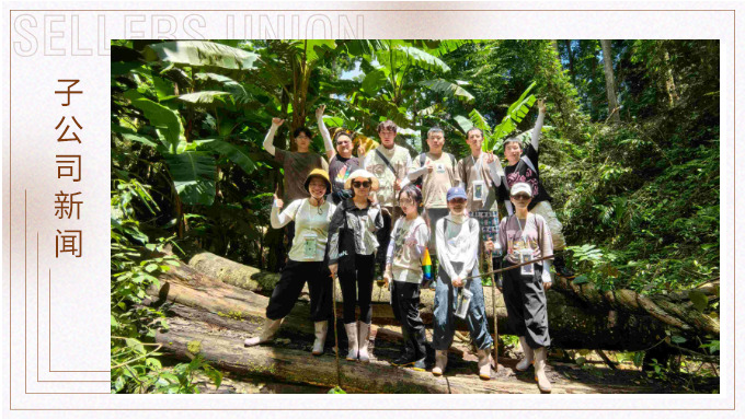 探雨林秘境，與森林同呼吸——記優(yōu)景公司年中西雙版納團建旅游