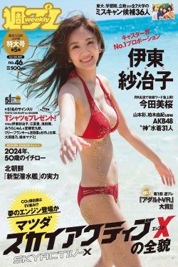 成人一区二区免费视频播放